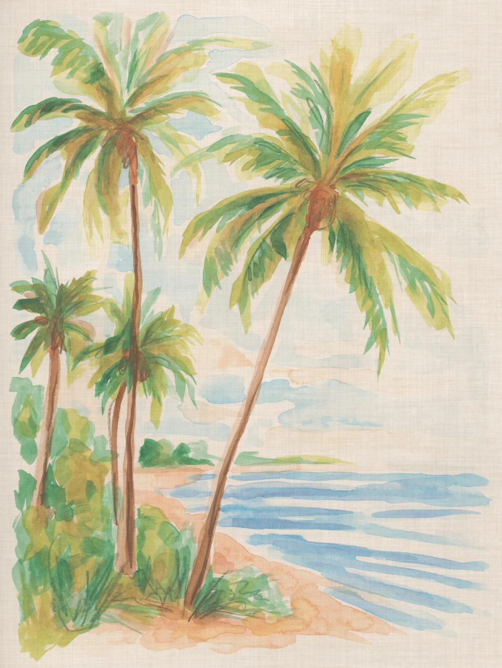 Playa Palms I