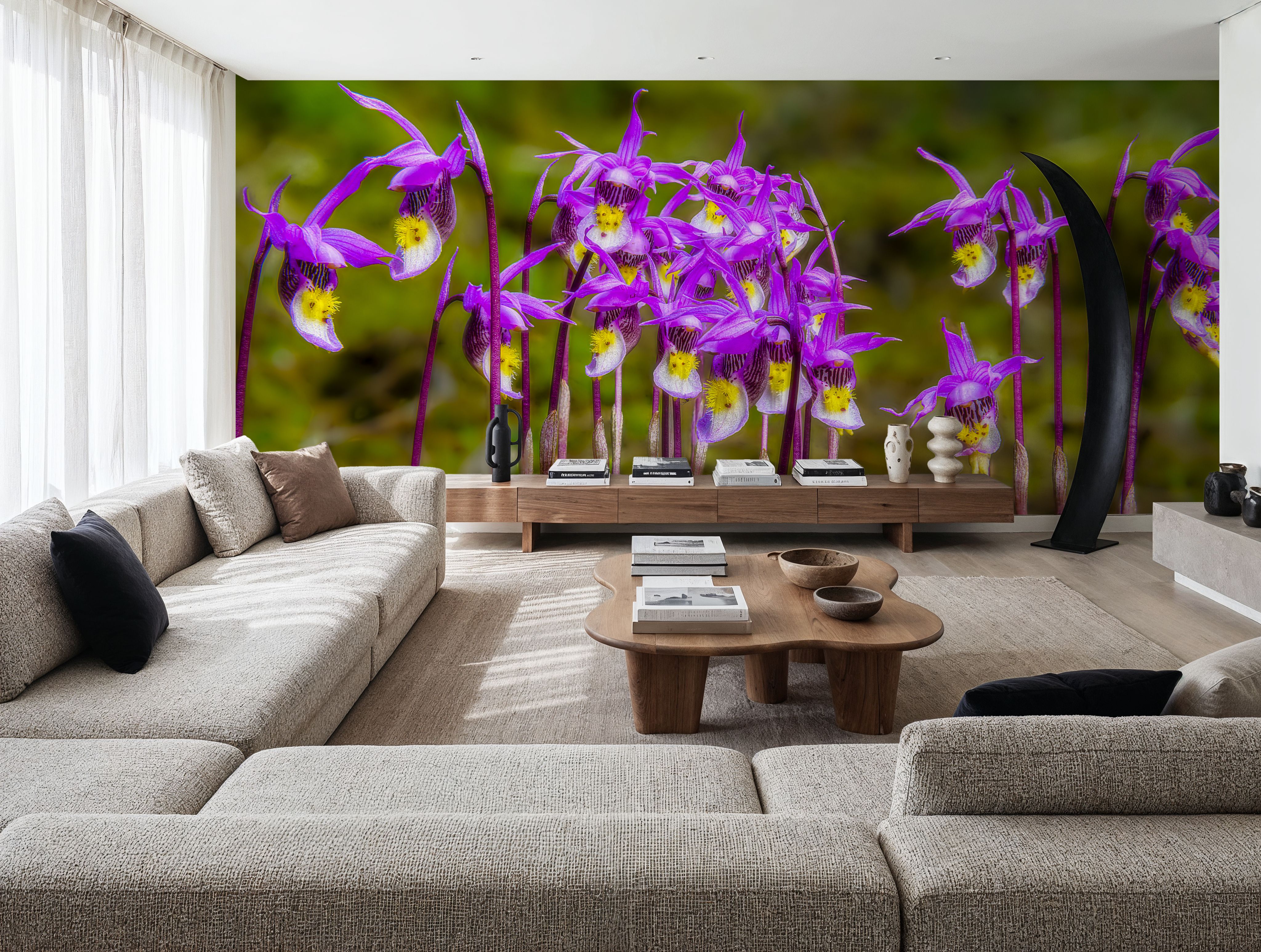 Calypso Bulbosa Bloom