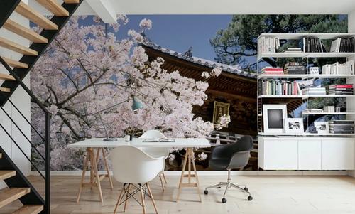 Kyoto Blossom