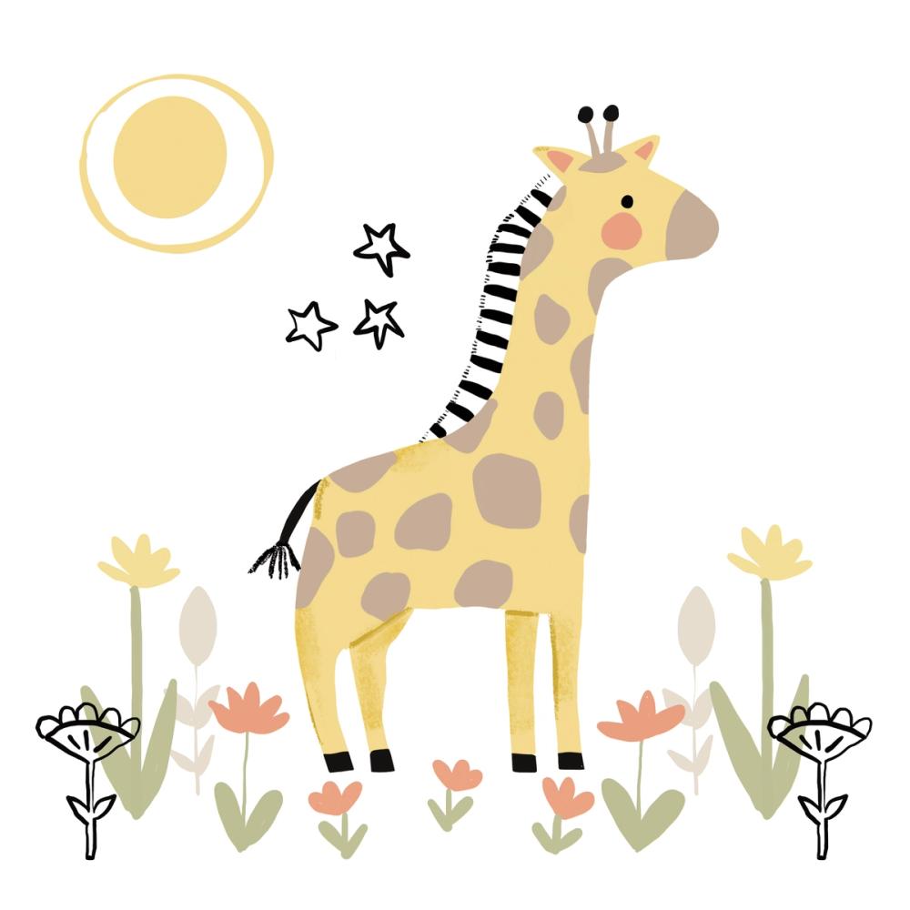 Baby Giraffe
