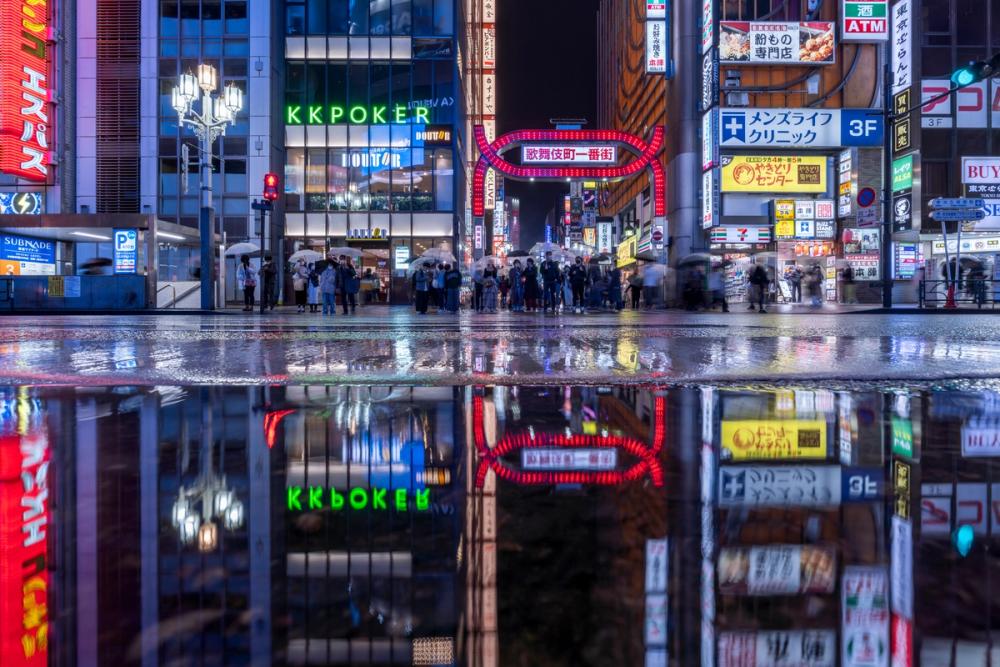 Kabukicho Nightlife Reflections