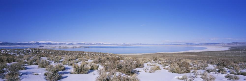 Mountain Lake Majesty