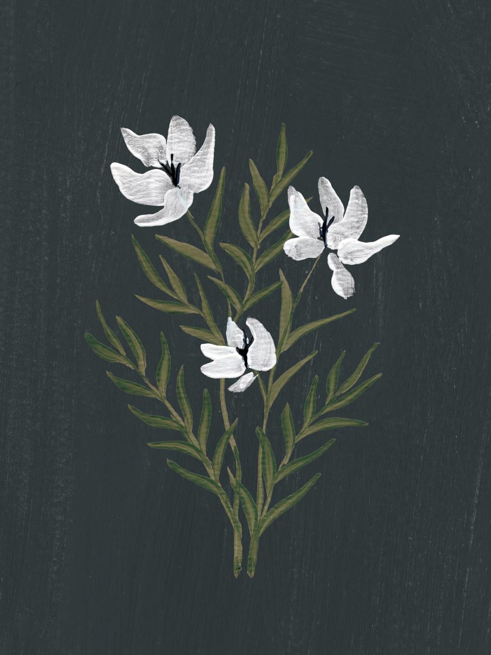 Pretty Little Flower IV Black