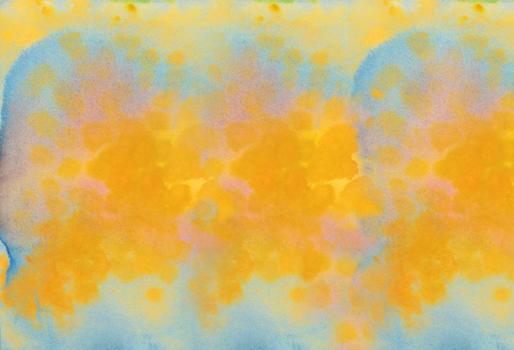 Northern Light Mimosas