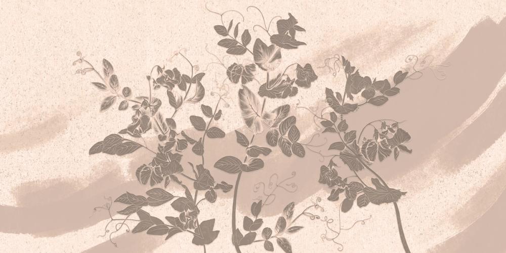 Sweet Peas Stroke Sepia