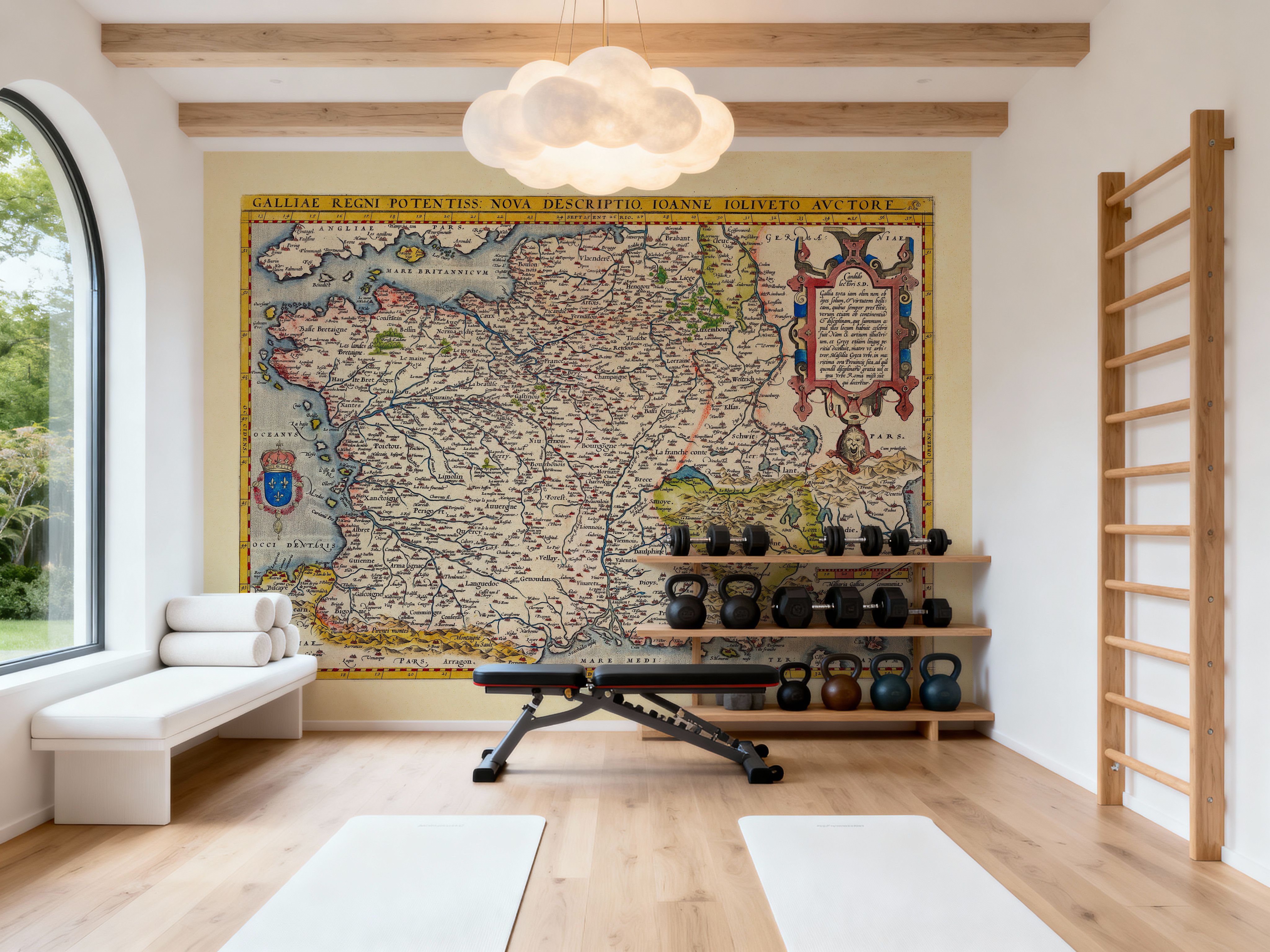 Old Map of France, 1570