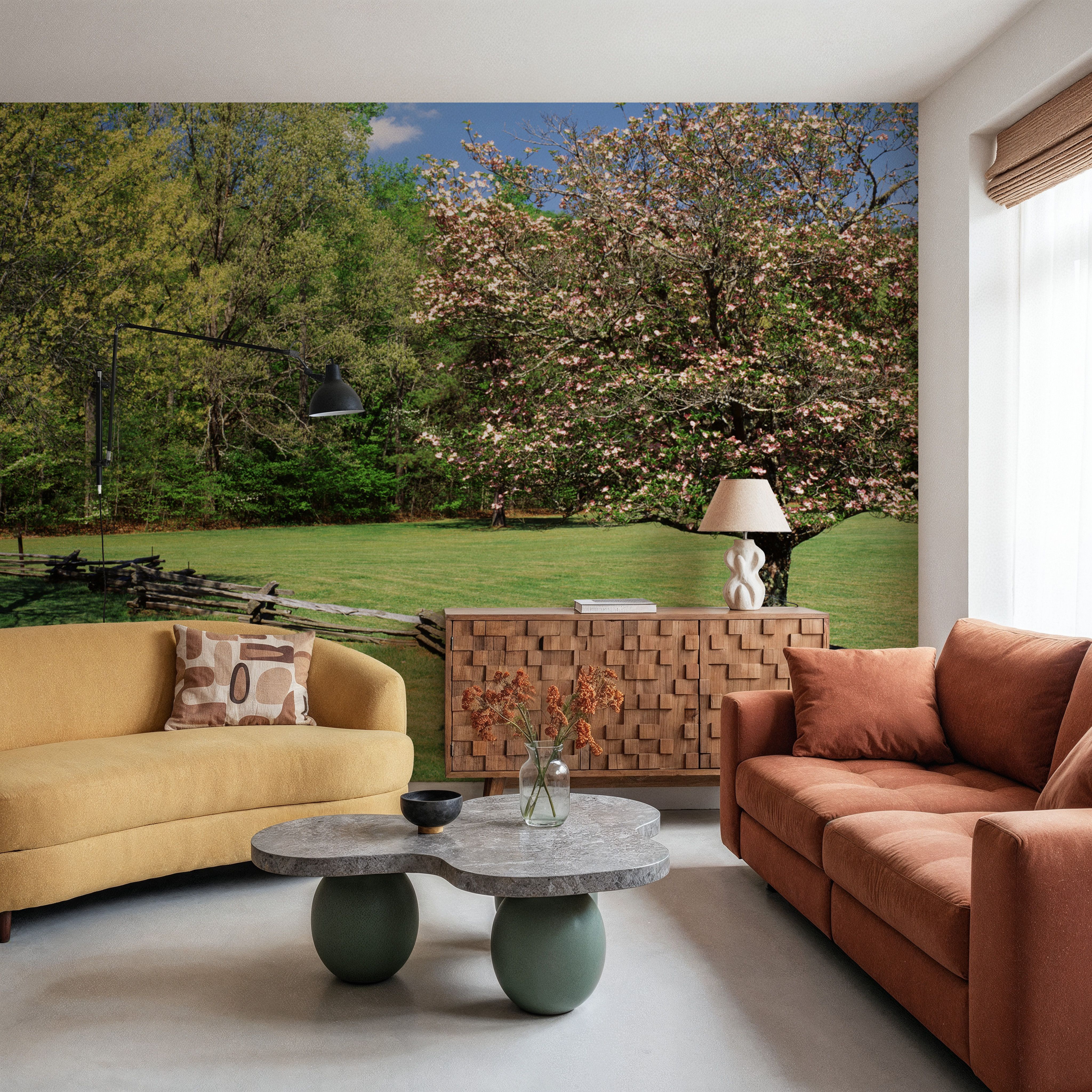 Pisgah National Forest