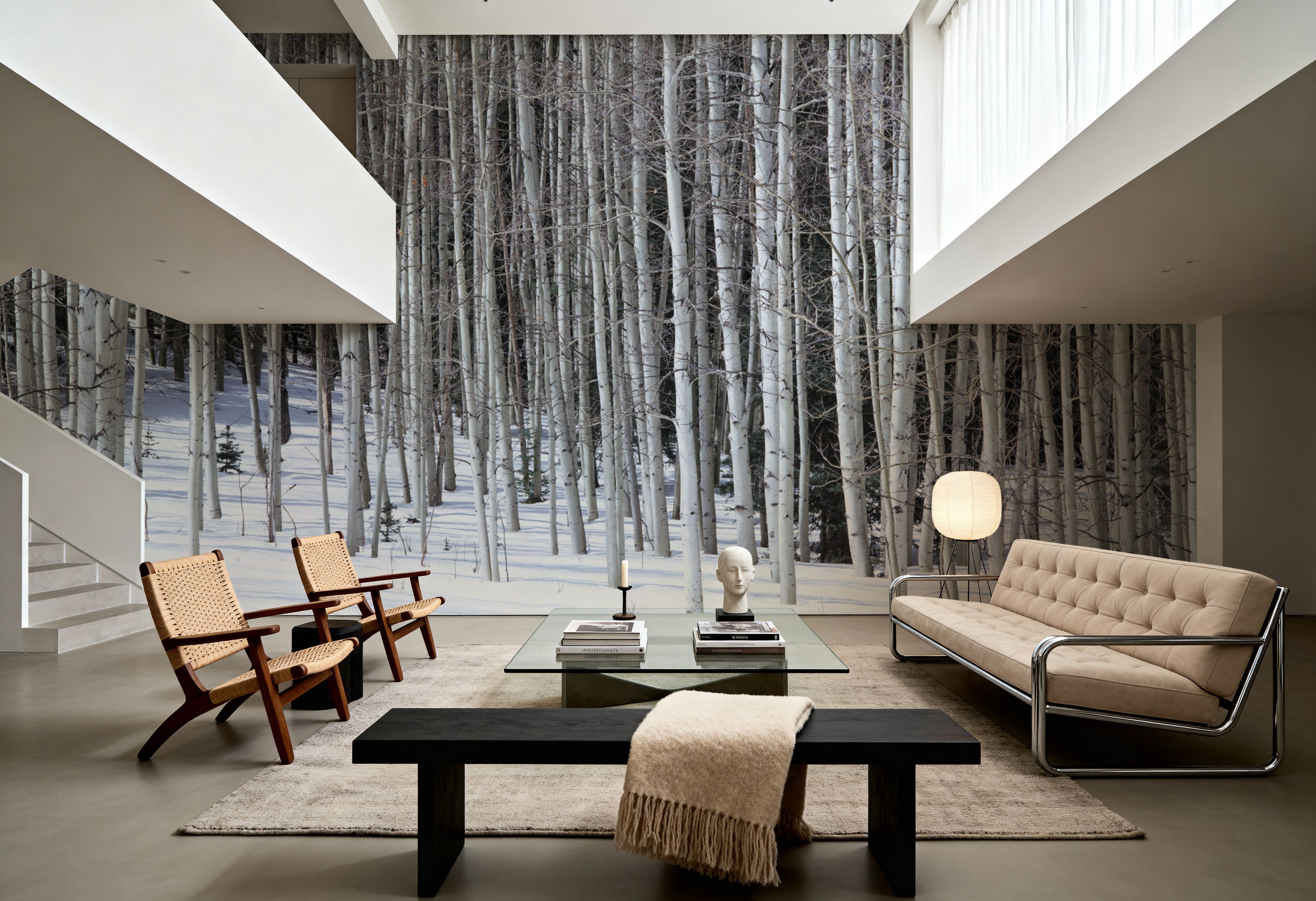 Winter Birch Stillness