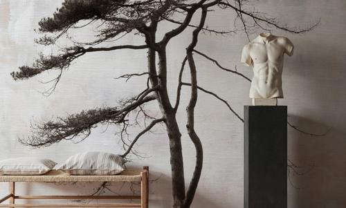 Stokenham Tree