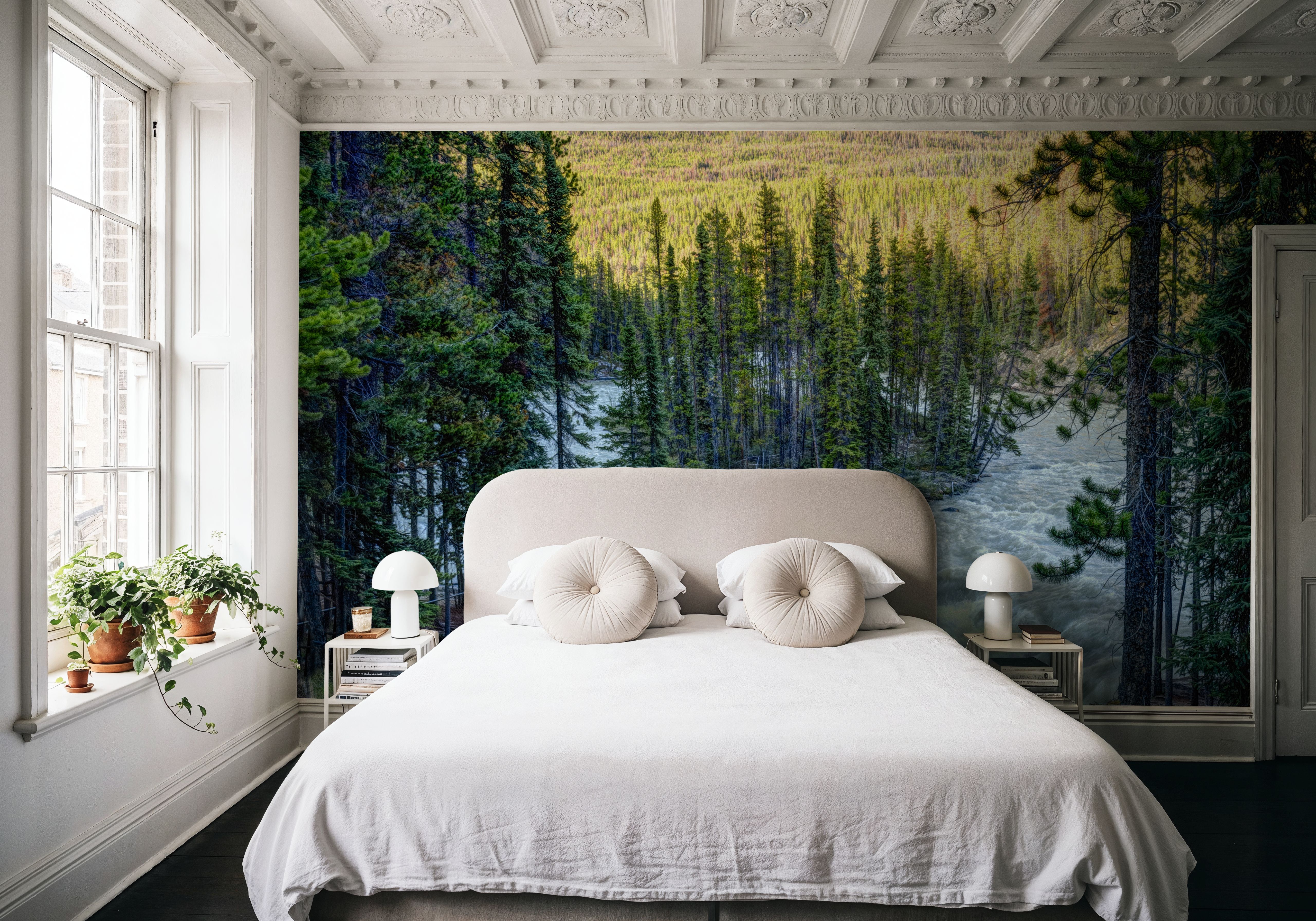 Sunwapta Falls, Papier peint