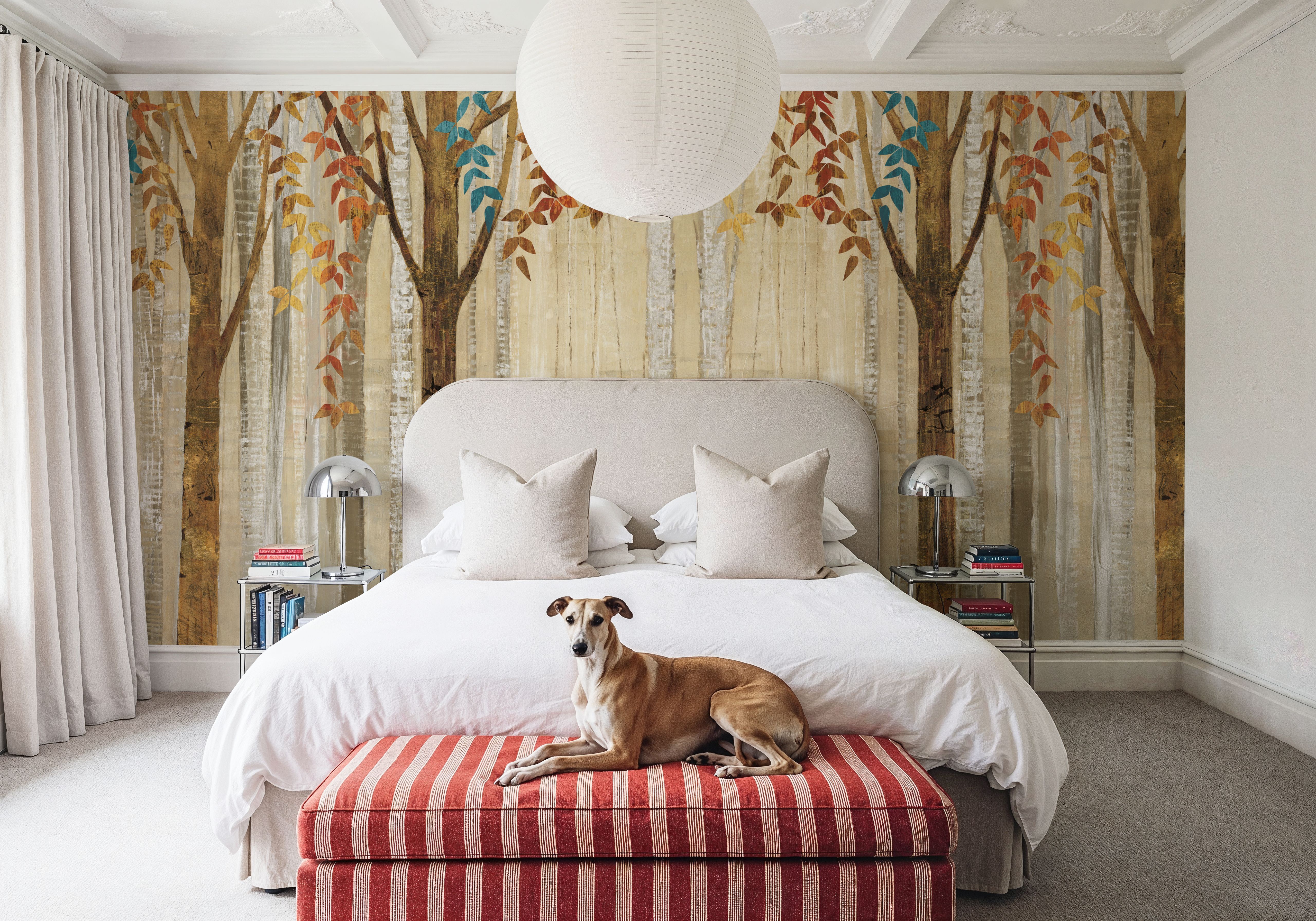 Down to the Woods Autumn