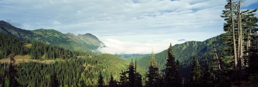Hurricane Ridge
