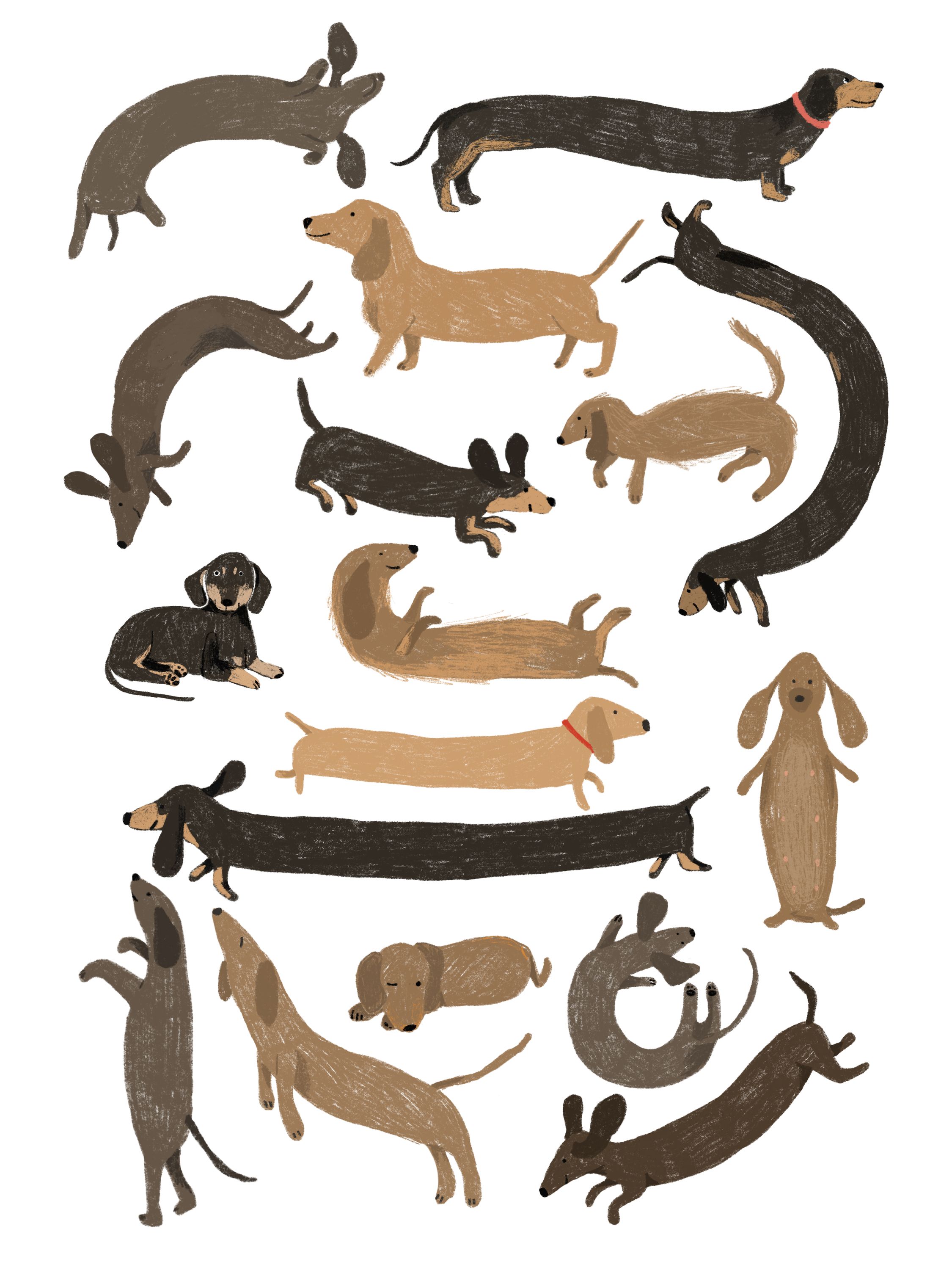 illustration of dogs
