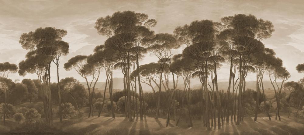 Mediterranean Pine Landscape, Sepia