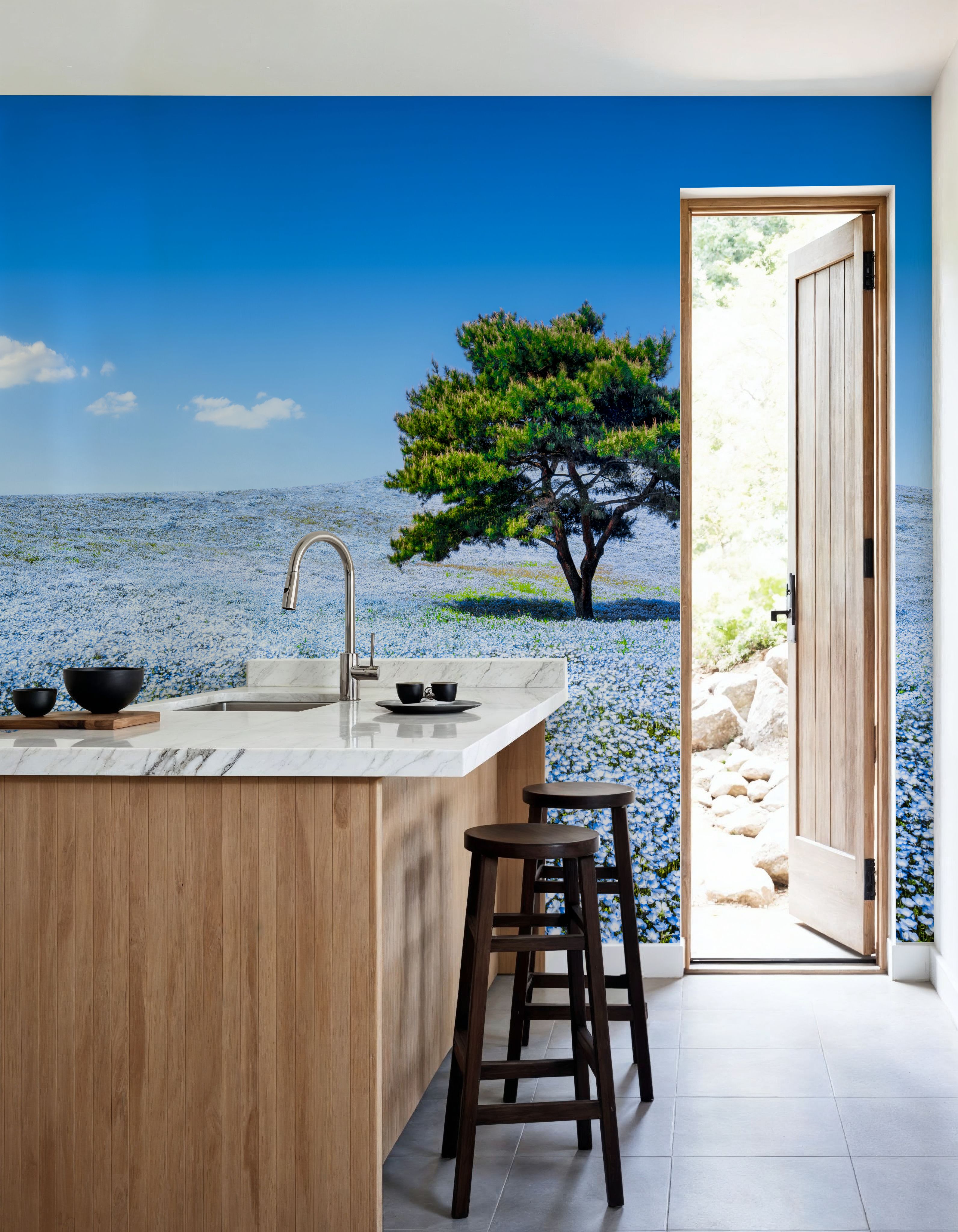 Baby Blue Eyes Nemophila