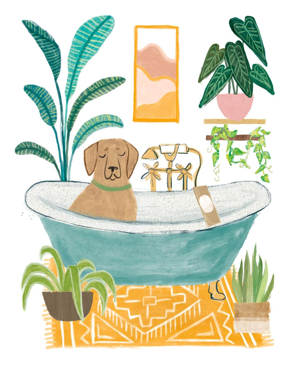 Urban Jungle Bath IV Pet