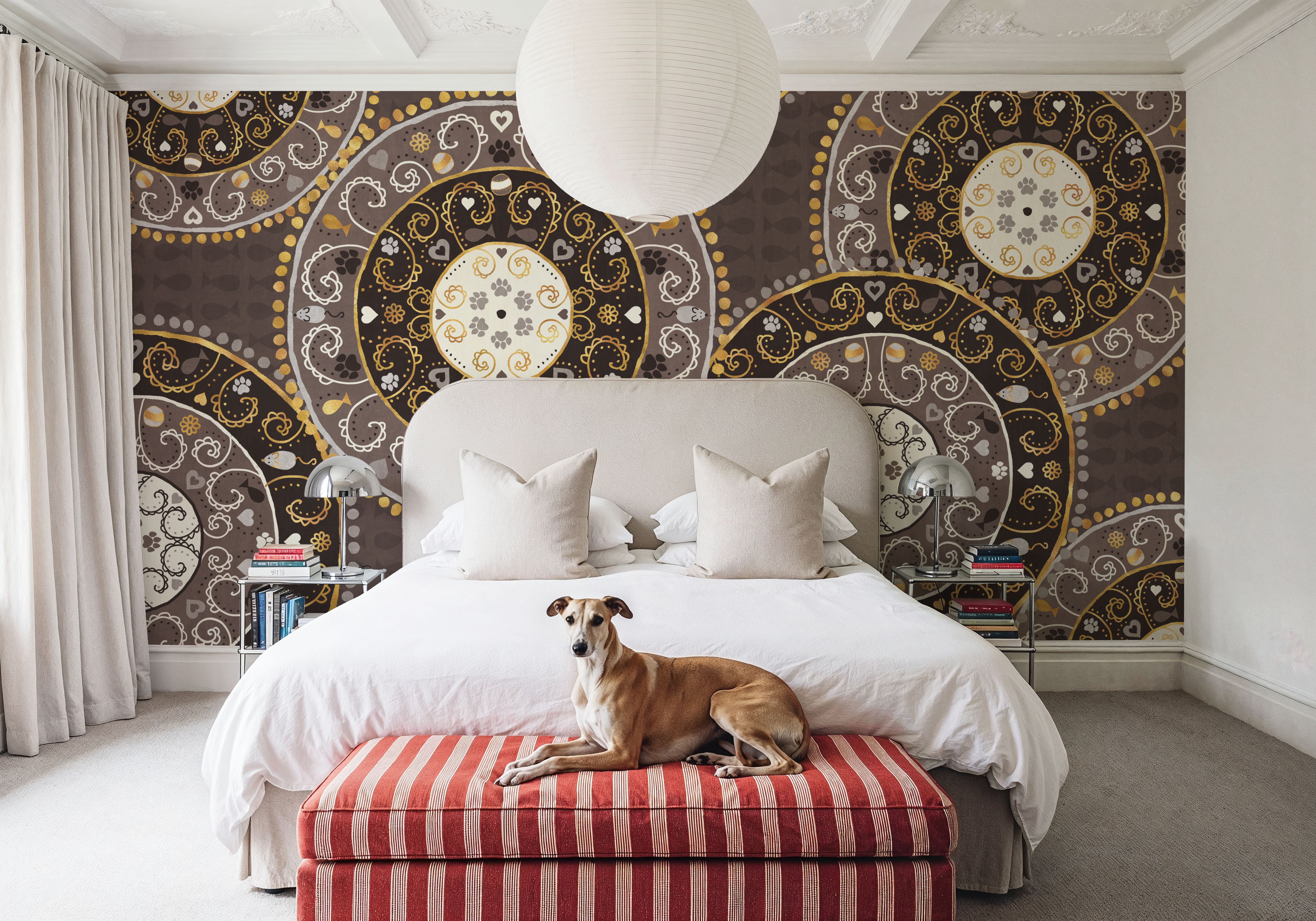 Otomi Cats VI Neutral