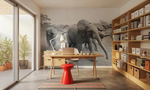 Elephant Race BW