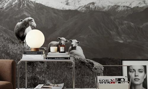 Wanaka Sheep I