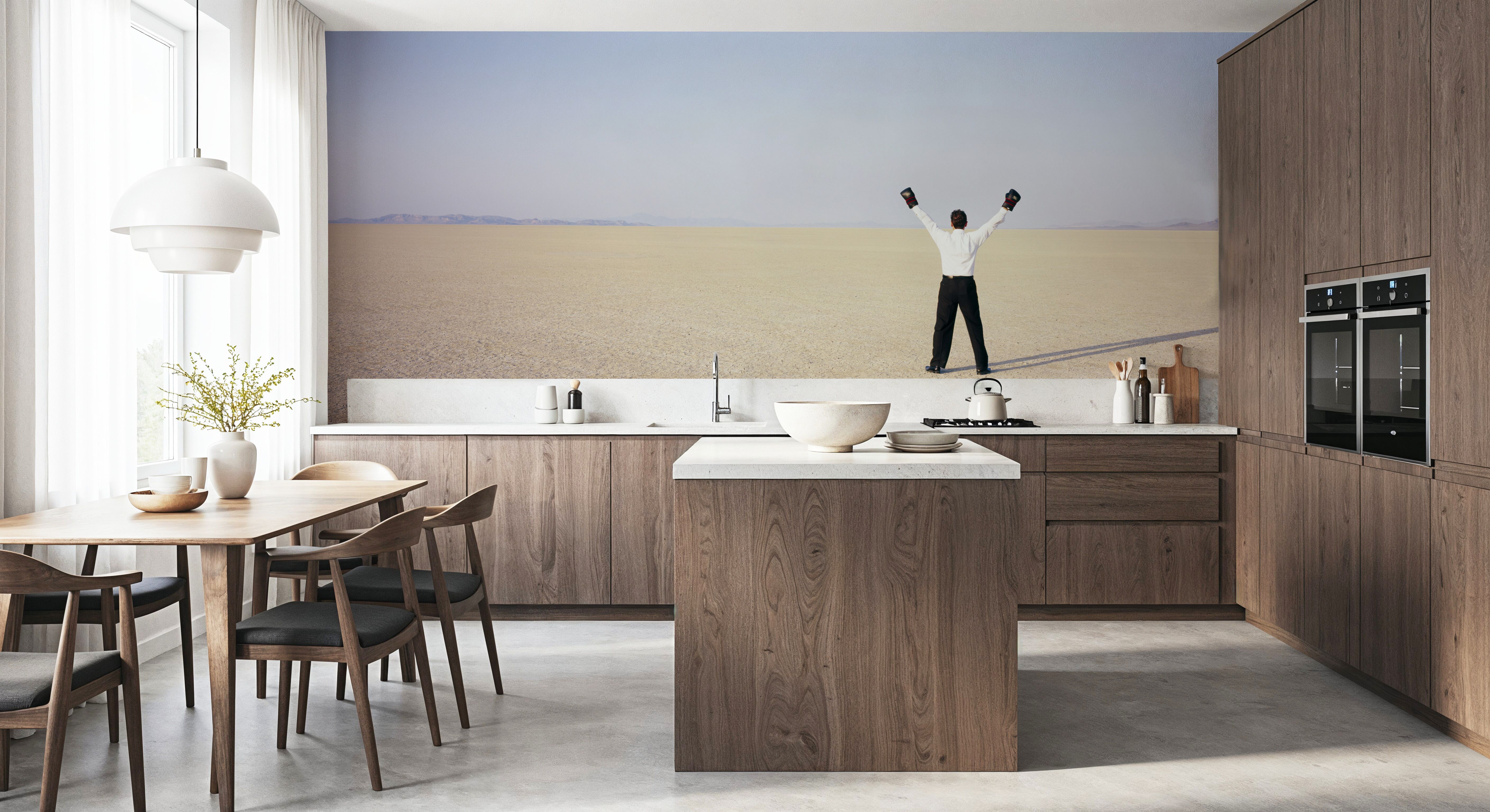 Black Rock Desert