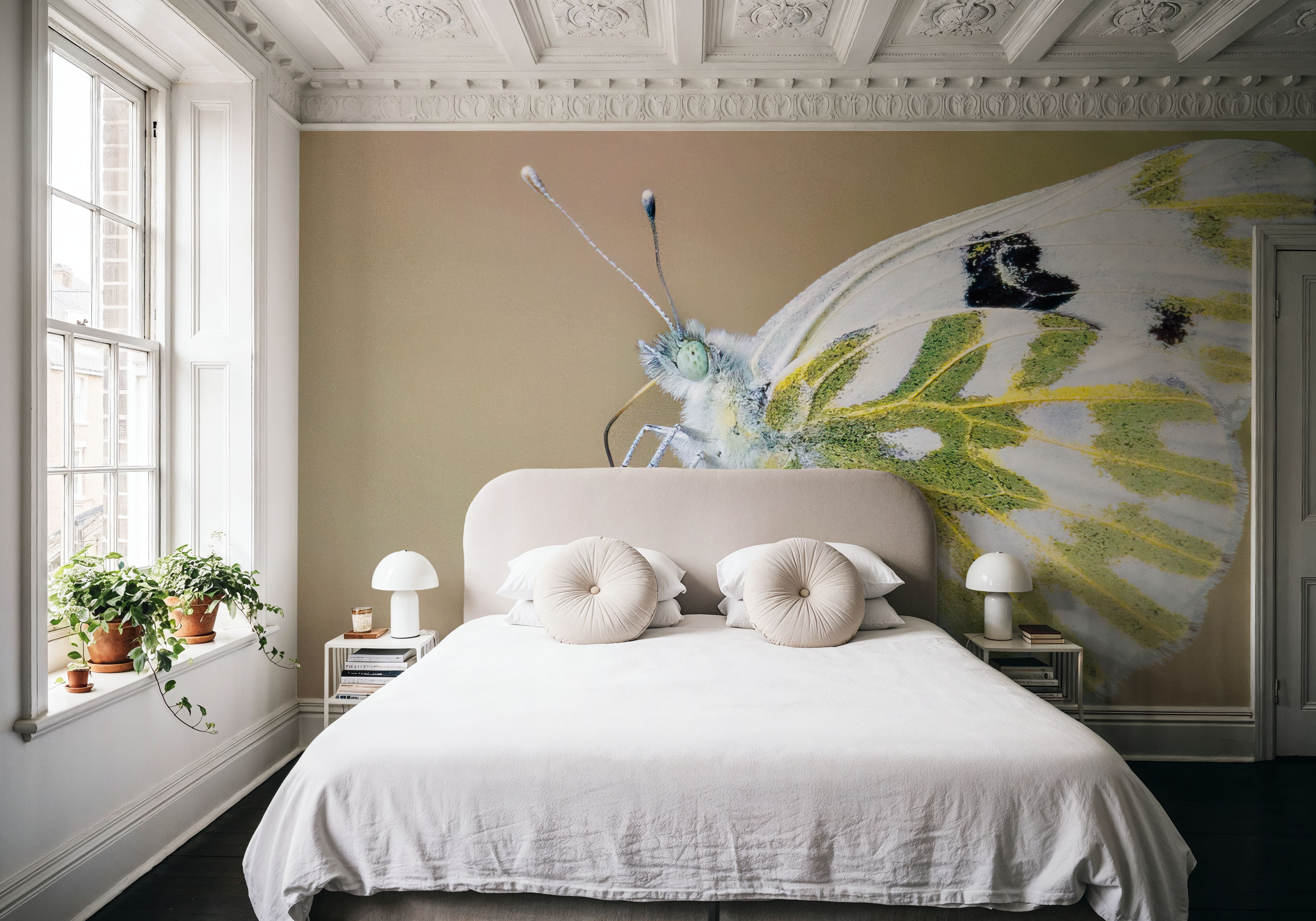 Sagebrush White