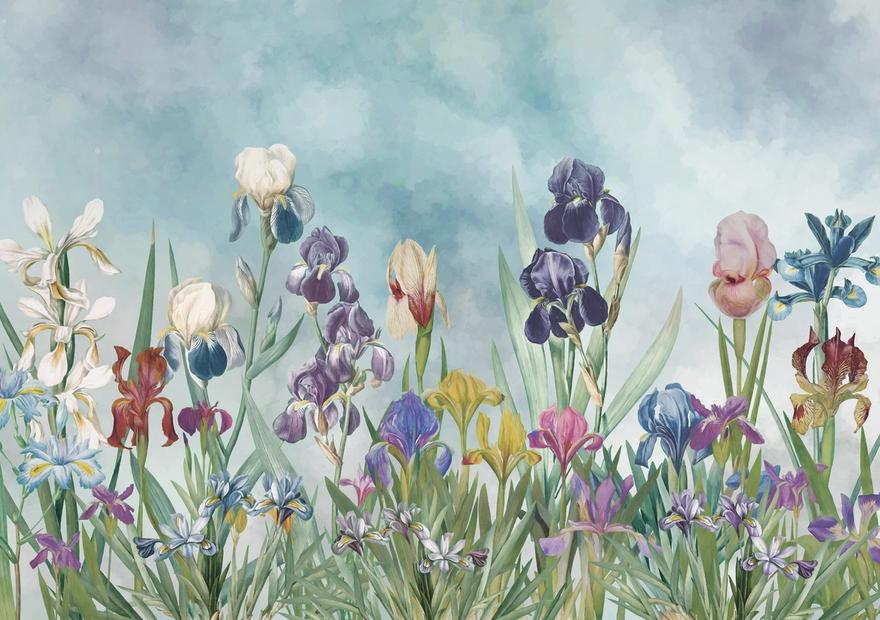 Iris Field