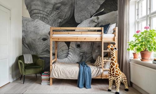 Elephant Greetings Photo