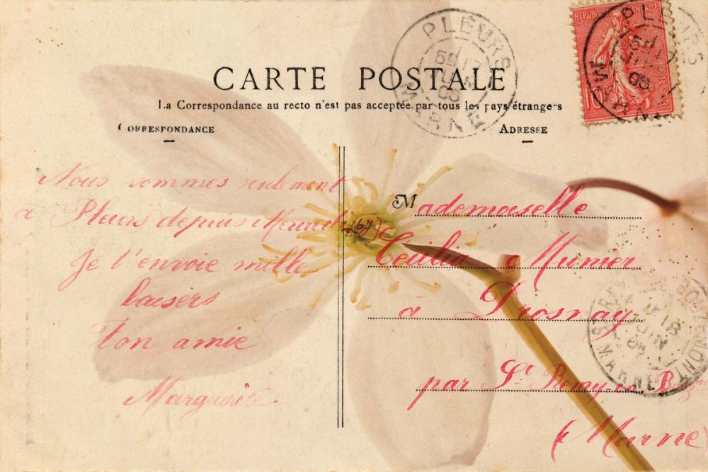 Letters to My Love II