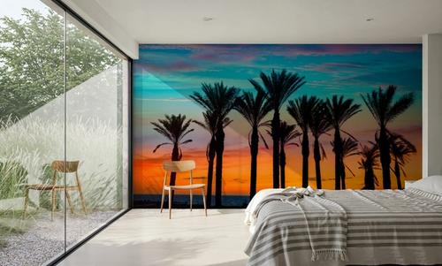 Miami Palms