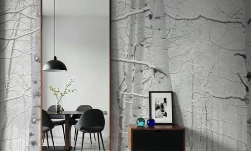 Frost-Kissed Birches