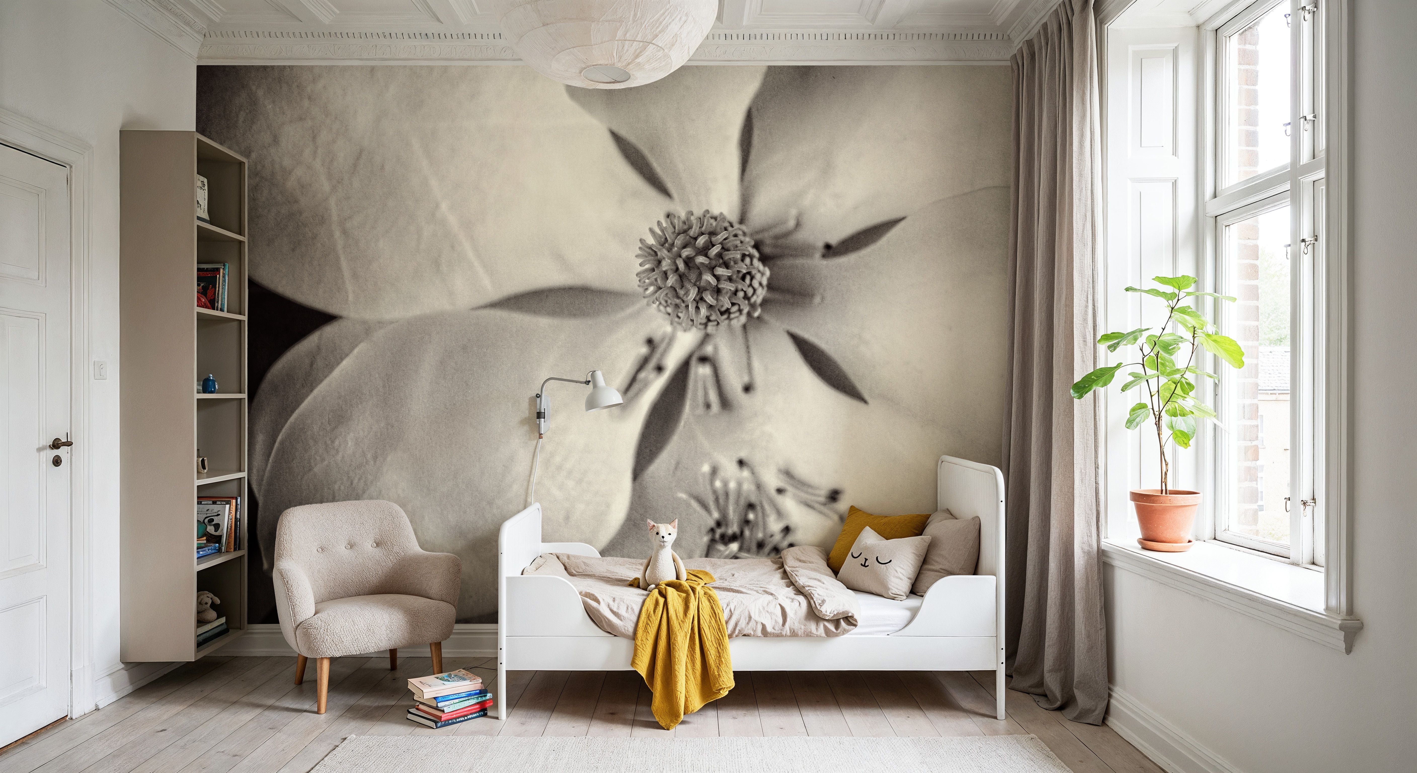 Moonlit Magnolia II