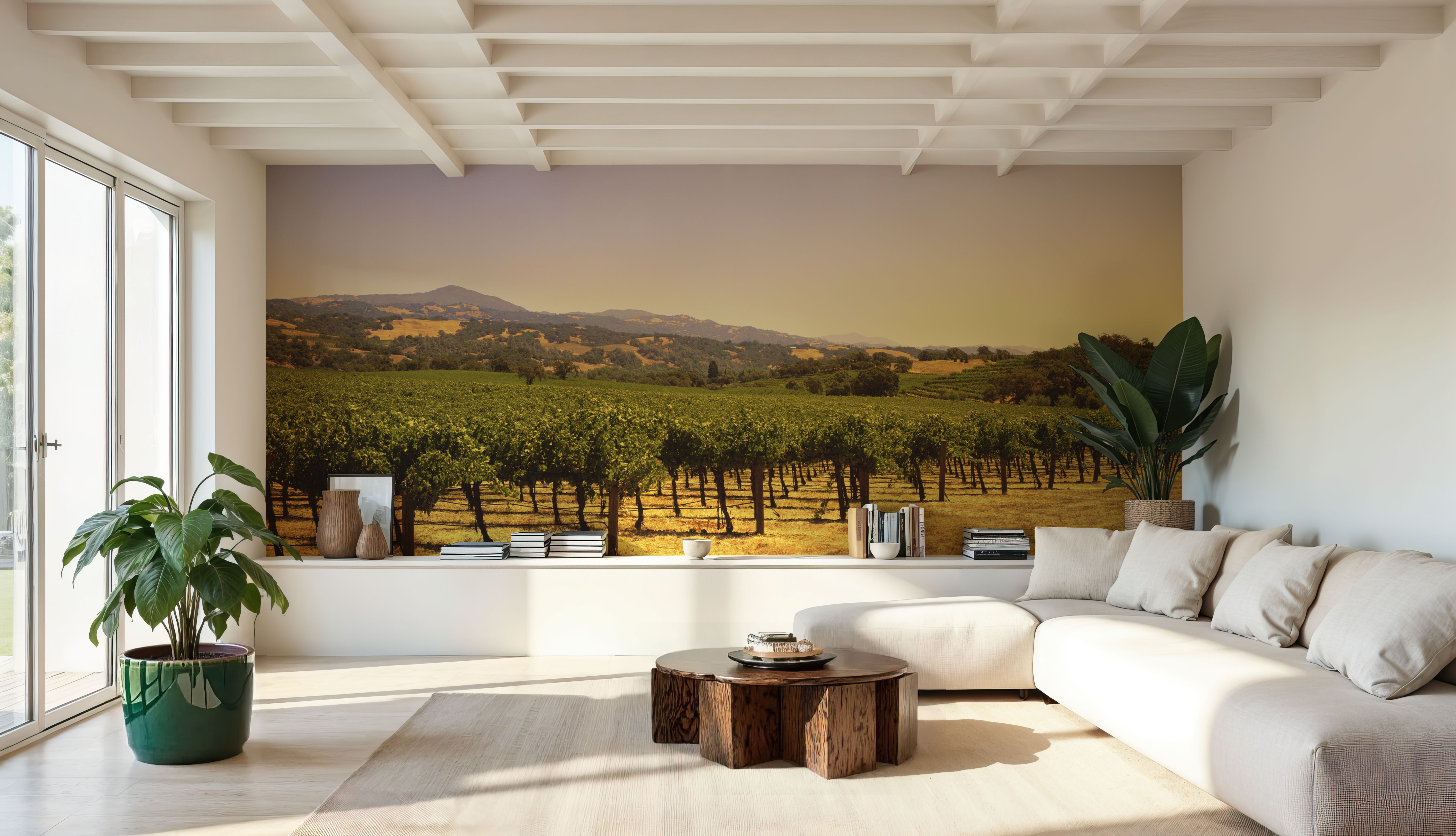 Golden Vineyard Vista