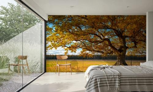 Golden Fall Tree Afternoon