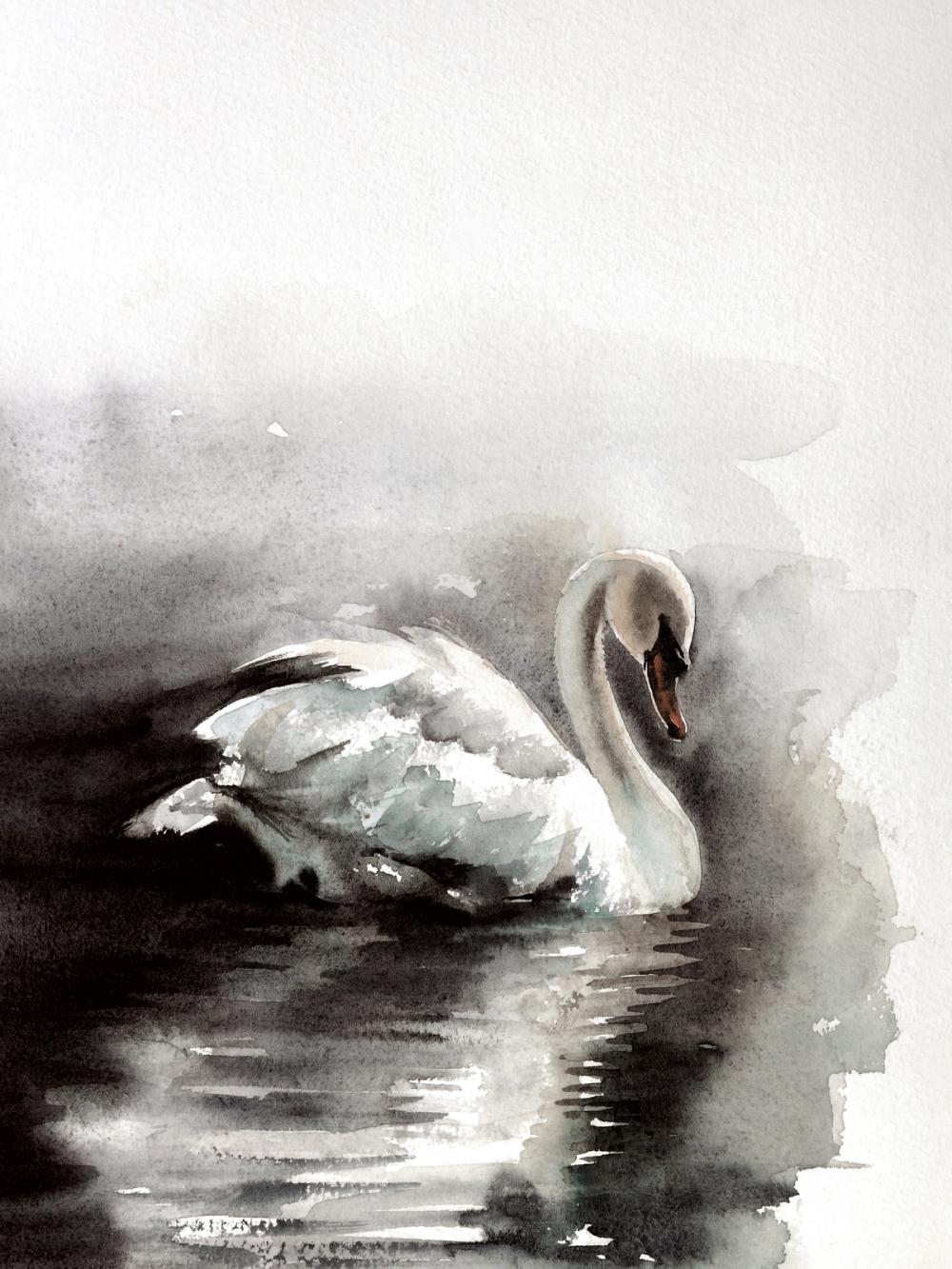 Moonlit Swan Dark