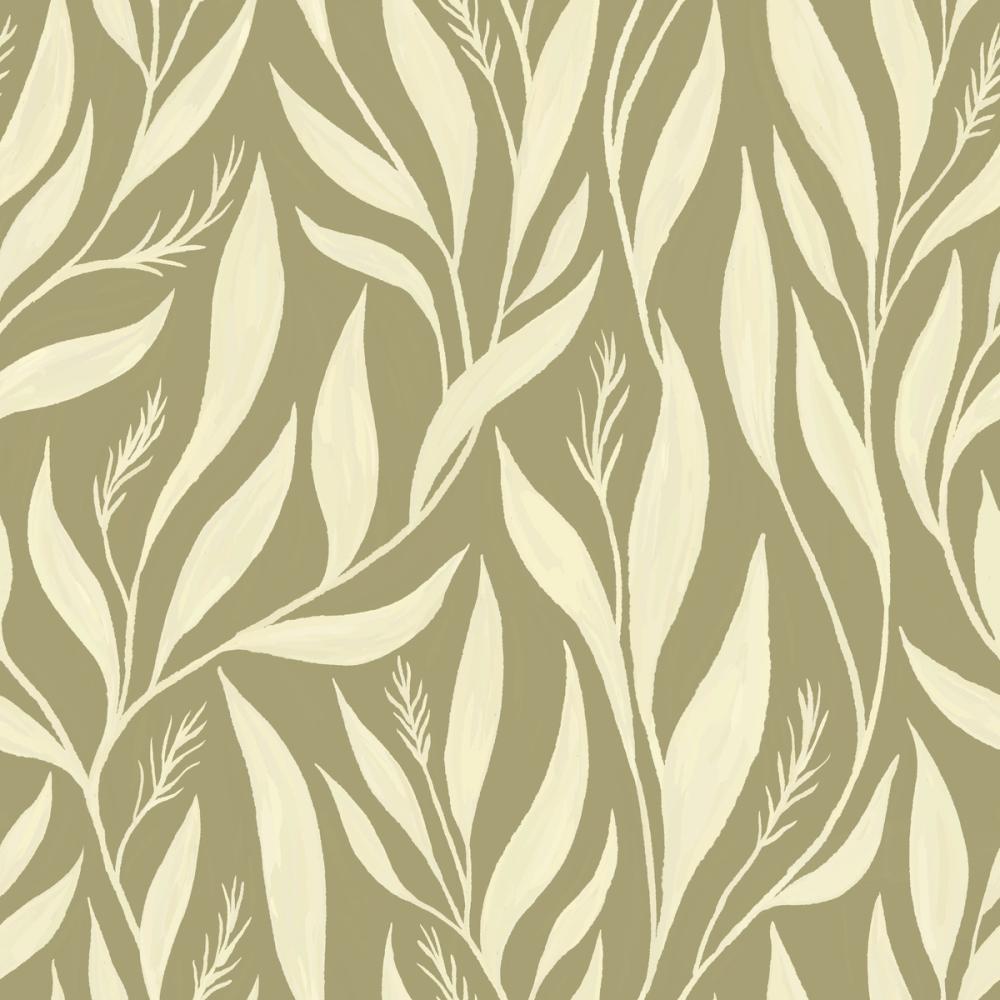 Illustration of willow leaves