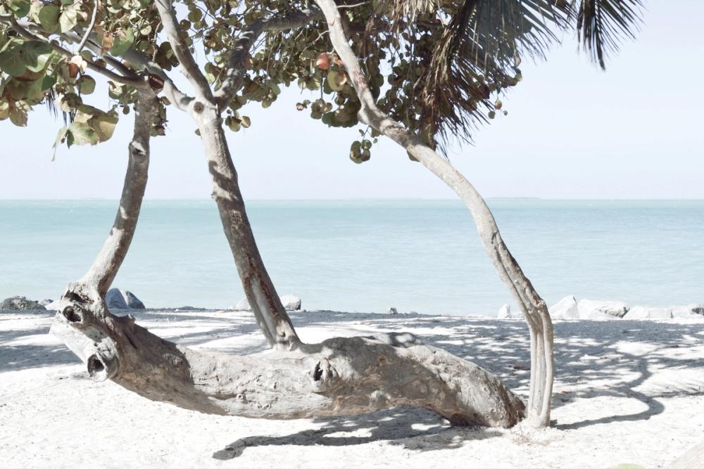 Fort Zachary Beach II
