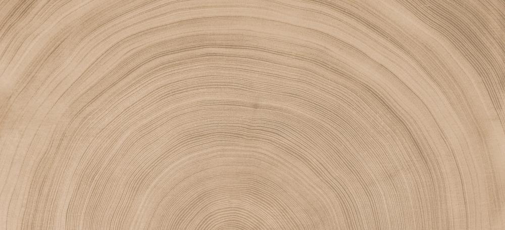Growth Rings
