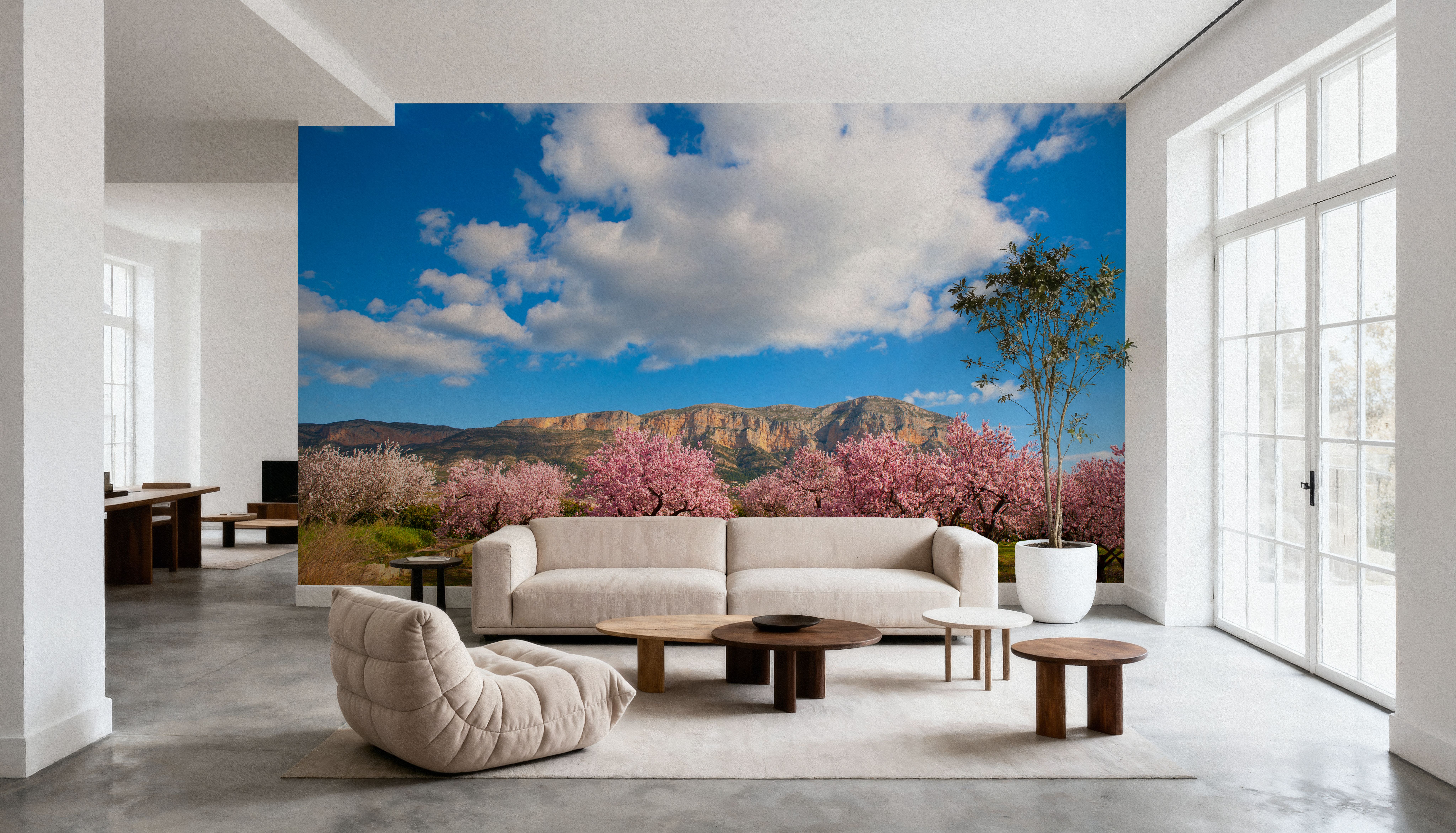 Almond Trees