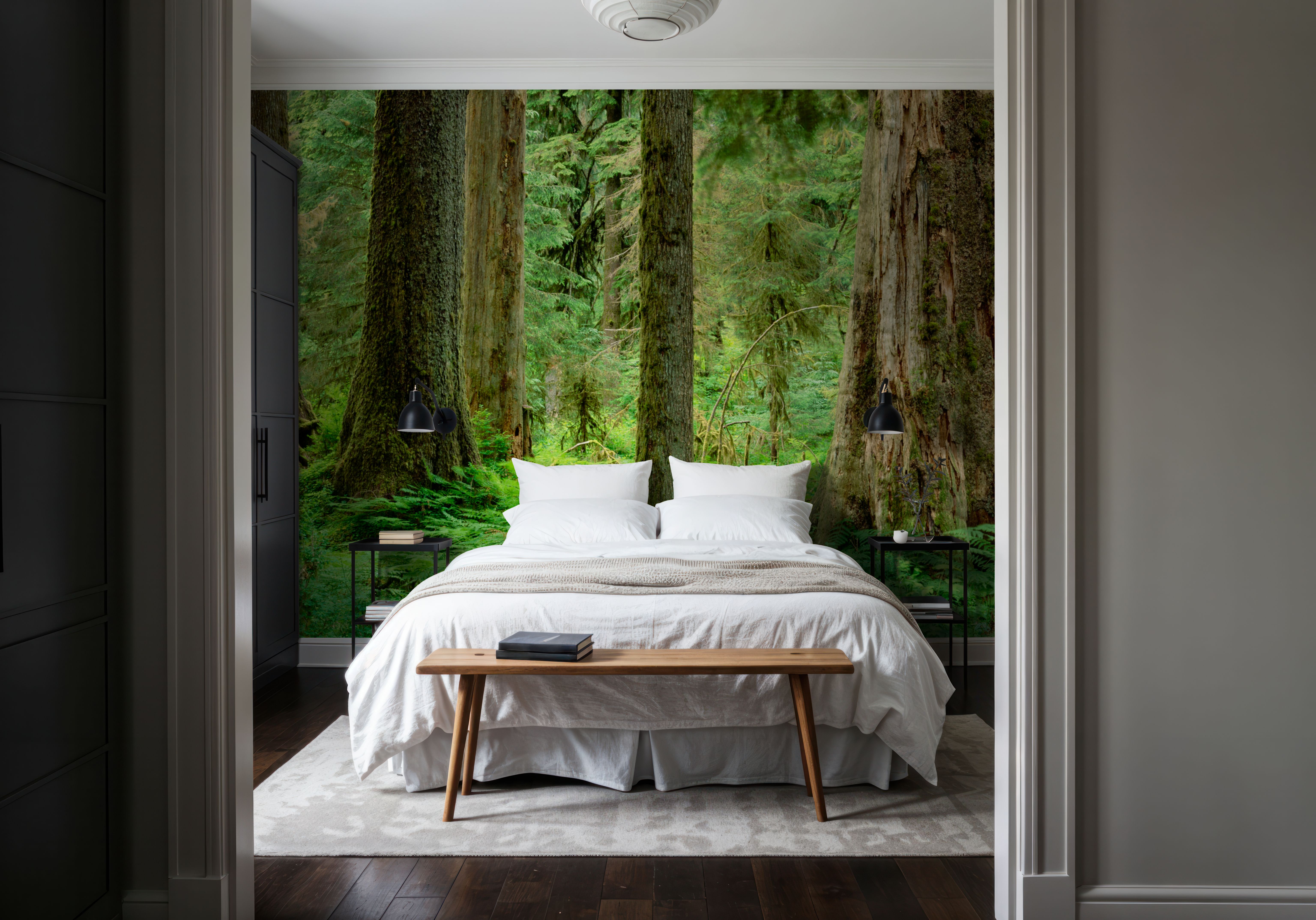 Hoh Rainforest