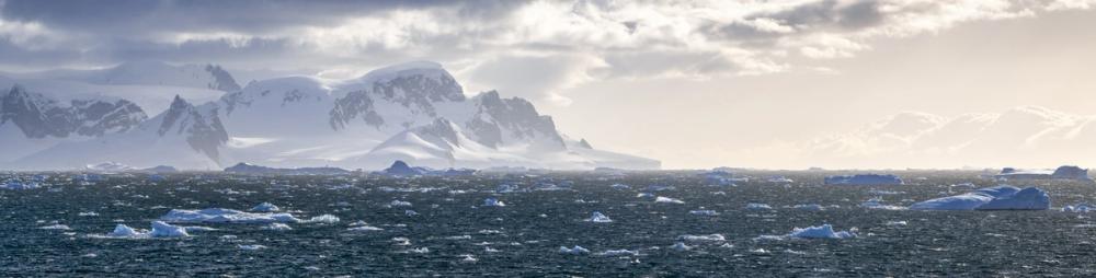 The Water Looks Cold