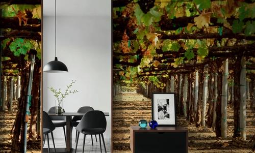 Vineyard Roofing