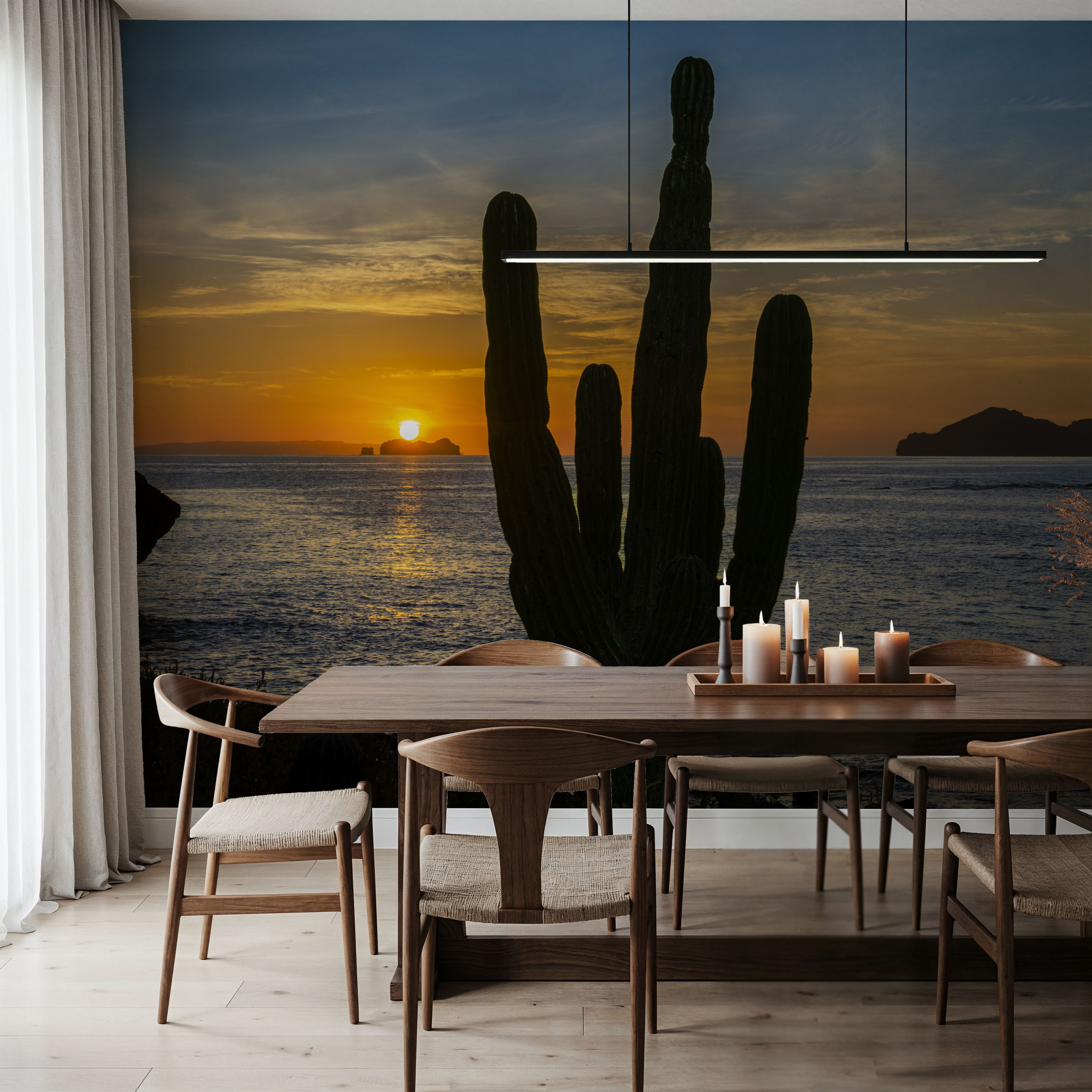 Cactus Coast