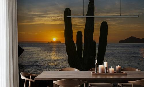 Cactus Coast