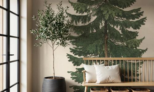 Winter Pine Tree