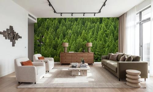Evergreen Canopy