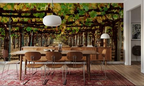 Vineyard Roofing