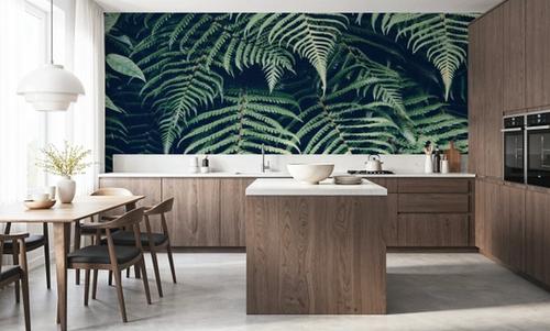 Fern Leaves
