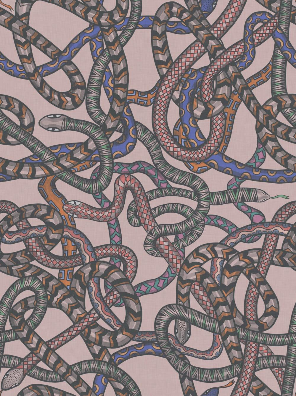 Entwined Snakes