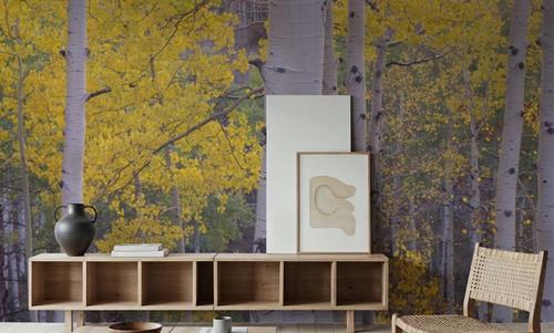 Golden Birch Forest