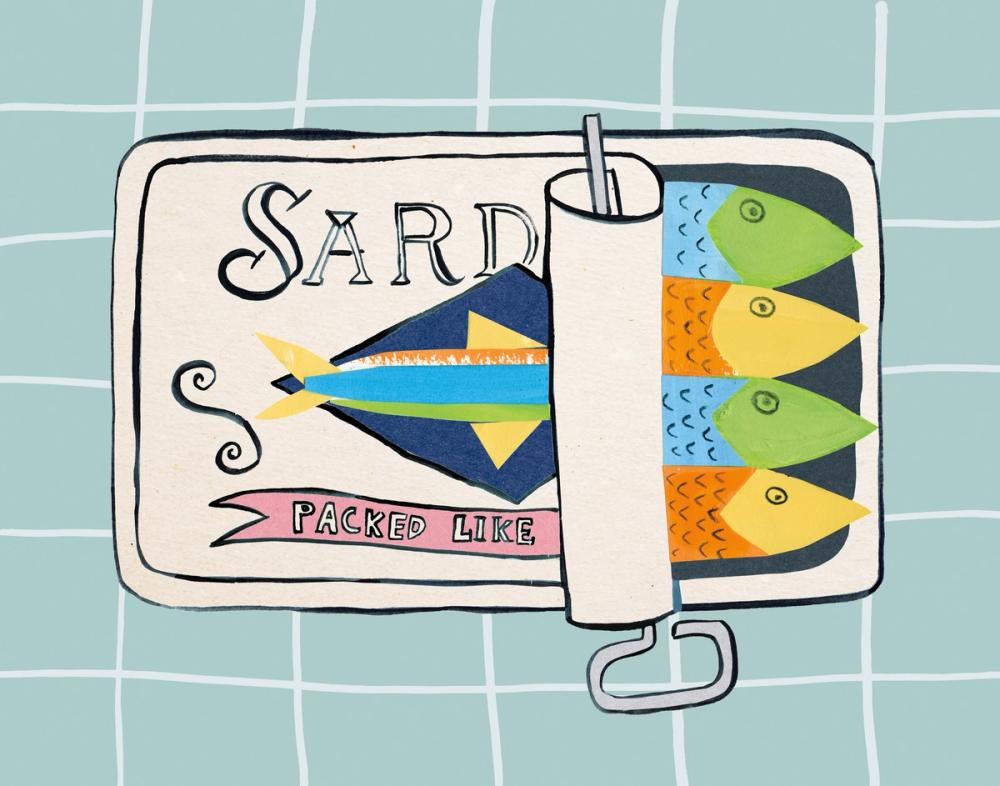 Sardine Tin II